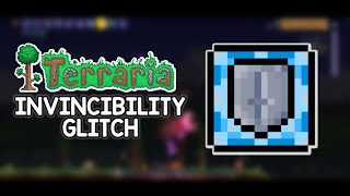 How To Be INVINCIBLE In Terraria 1449 [upl. by Ylera119]