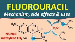 Fluorouracil FU  Mechanism side effects and uses [upl. by Oidivo518]