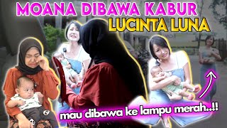 Lucinta Luna Bawa Moana Kabur Ke Lampu Merah wkwk [upl. by Rudolf]