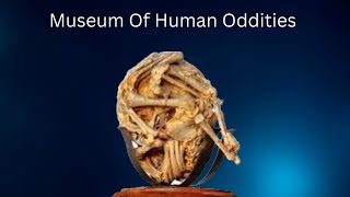 Mutter Museum Documentary [upl. by Gena432]