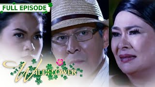 ENG SUB Ep 255  Wildflower  Maja Salvador Tirso Cruz III Aiko Melendez [upl. by Azenav]