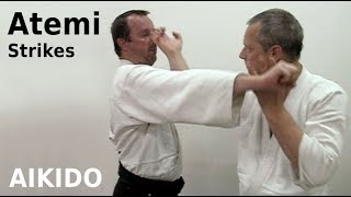 Aikido ATEMI  striking techniques by Stefan Stenudd in 2008 [upl. by Theodosia770]