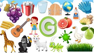 G letter words for kids  Words start with letter G  G for grapes abcdlearning alphabetlearning [upl. by Tegan944]