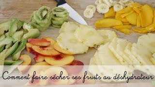 Comment déshydrater des fruits  Conseils et mode demploi en vidéo [upl. by Rebmac]