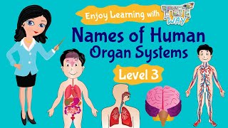 Organ System Names of Human Organ Systems  Tutway [upl. by Dido]