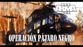 ArmA 3 Ametrallador Operación Pájaro Negro  Coop20 GRUPO ARMADOS EN DIRECTO 219 1440p60 [upl. by Yul]