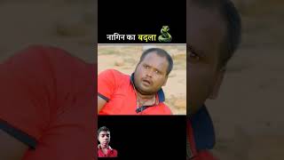 नागिन का बदला😡 story nagin snake amazingfacts factsinhindi shortfeed facts funnynagin [upl. by Willdon]