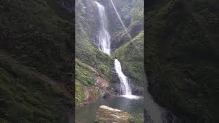 Waterfalls in Nyungwe National Park Rwanda [upl. by Macy]