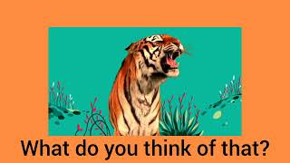 StoryBots Sing Alongs Tiger In The Jungle [upl. by Ulrikaumeko]