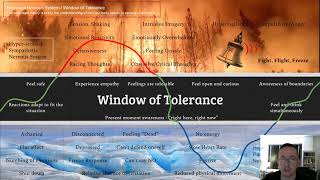 Window of Tolerance [upl. by Tsirc]