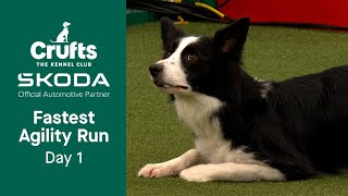 Your FASTEST Agility run from Day 1  Crufts 2023 [upl. by Lorri969]