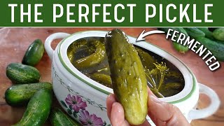 FERMENTED PICKLES  The Best Old Fashioned Dill Pickle Recipe No Rambling [upl. by Artemahs]