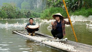 FULL VIDEO harvesting 2000 duck eggs with dad  cook farm life [upl. by Lingwood]