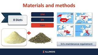 Digestibility of energy protein and fat and concentration of metabolizable energy  sunflower meal [upl. by Zenia73]