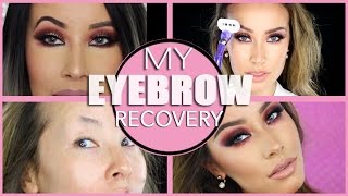 HOW TO FIX BOTCHED EYEBROWS  MY EYEBROW NIGHTMARE amp RECOVERY [upl. by Nevetse]