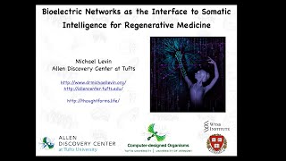 Bioelectric Networks as the Interface to Somatic Intelligence for Regenerative Medicine [upl. by Enimaj]