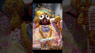 Aarti kunj bihari ki 🙏🙏 status gopal aarti kunjbihari vrindavan trending shorts [upl. by Tiossem724]