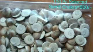 Gomti Chakra Wholesaler।। Puja Samagri Manufacturer Wholesaler Delhi 09599081730 [upl. by Yeroc]