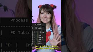 File Descriptor Table Explained Quick Rundown [upl. by Lejeune799]