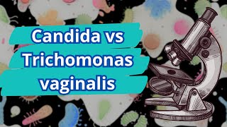 Candida versus Trichomonas vaginalis [upl. by Glyn]