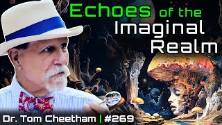 Hermeneutics Psychedelic Mysticism amp Poetic Consciousness  Dr Tom Cheetham Author  DS Pod 269 [upl. by Trace181]