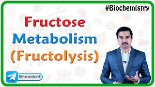 Fructose Metabolism Fructolysis🍏  Medical Biochemistry🍯🧬 Dr G Bhanu Prakash [upl. by Lleznod]