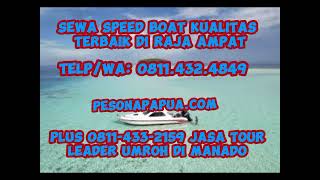 Terpercaya Sewa Speed Boat Raja Ampat Plus 08114332159 Jasa Tour Leader Umroh di Kotamobagu [upl. by Nylirrehs351]