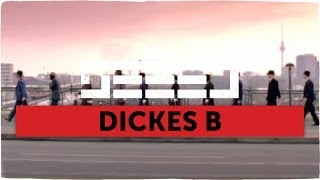 Seeed  Dickes B official Video [upl. by Aicala847]