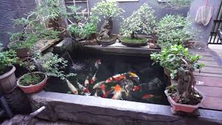 Simple DIY Koi Ponds ideas  2018 [upl. by Bret]