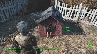 Fallout 4 How to find Dogmeat in Sanctuary [upl. by Gerry]