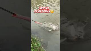 MENJALA IKAN DI SUNGAIfishing fish [upl. by Dace]