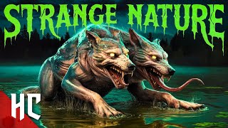 Mutated Animals Seek Blood  Strange Nature  Full Monster Horror Movie  Halloween Horror Movie [upl. by Mlawsky892]