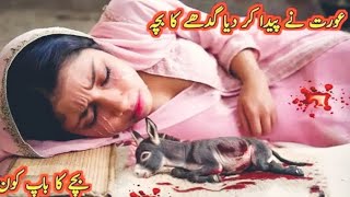 Aurat ne gadhe ka bacha paida kar dia  sacha waqia  sabak amoz kahani hindi story  Simran Voice [upl. by Carmencita]