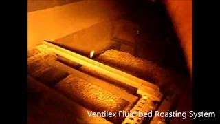 Roasting system fluid bed Ventilex [upl. by Airdnassac594]