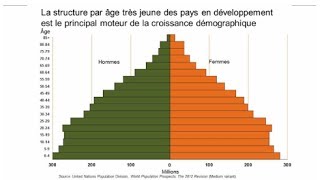 Vignette Démographique Déchiffrer Les Pyramides Des Ages [upl. by Manon899]