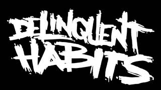 Delinquent Habits  Everyday Instrumental [upl. by Browning]