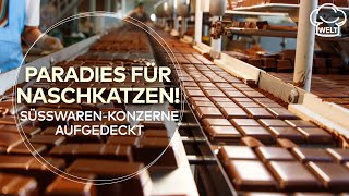 PARADIES FÜR NASCHKATZEN Deutsche SüßwarenKonzerne produzieren auf Rekordniveau  FOOD DOKU [upl. by Ennayk]