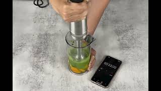 Vitamix 5Speed Immersion Blender Review Making Frozen Fruit Smoothie [upl. by Broucek]