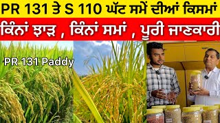 PR 131 Paddy variety amp Supreme 110 Paddy ਕਿੰਨਾਂ ਝਾੜ ਕਿੰਨਾ ਸਮਾਂ [upl. by Bernhard502]