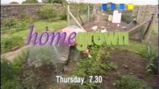 ITV1 Border local ident  2003 [upl. by Constantino948]