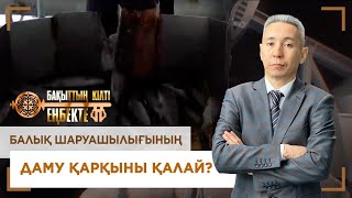 Балық шаруашылығының даму қарқыны қалай «Бақыттың кілті еңбекте» [upl. by Yahc642]