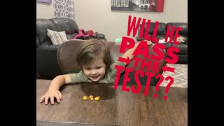 2 Year Old Candy Challenge Will he pass [upl. by Bev]