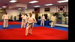 The 25 kicks of Sin Moo Hapkido [upl. by Enyaht794]