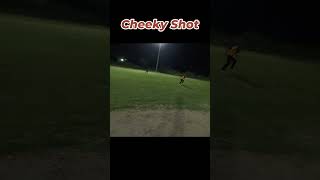 Cheeky Shot in Cricket  cricket viral shorts [upl. by Marley]