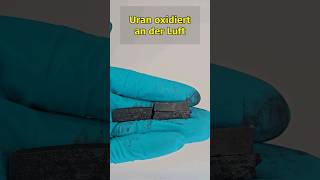 metallisches Uran oxidiert an der Luft chemie uran chemistry experiment [upl. by Erehpotsirhc]