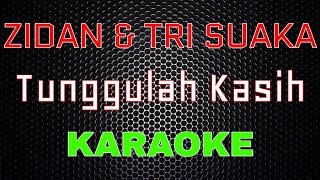 Zidan Ft Tri Suaka  Tunggulah Kasih Karaoke  LMusical [upl. by Tabb489]