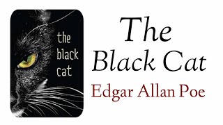 The Black Cat  Edgar Allan Poe in Hindi [upl. by Nyrad]