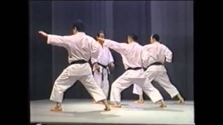 Karate Shotokan Ryu Asai Ha Sensei Tetsuhiko Asai  Kihon and Kata [upl. by Phil]