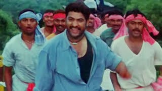 Aku Chaatu Pinda Thadise Full Video Song  Vetagadu  NTRama RaoSridevi [upl. by Enuahs]