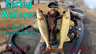 Big Spring Walleyes on the Mississippi River [upl. by Wahl]